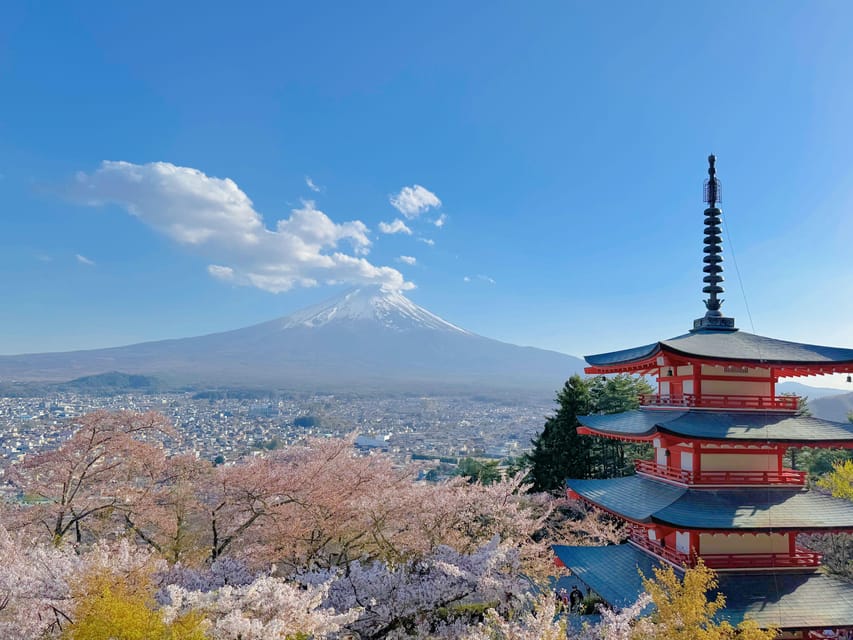 Tokyo: Mt. Fuji & Lake Kawaguchi Instagram Full Day Trip - Overview of the Tour