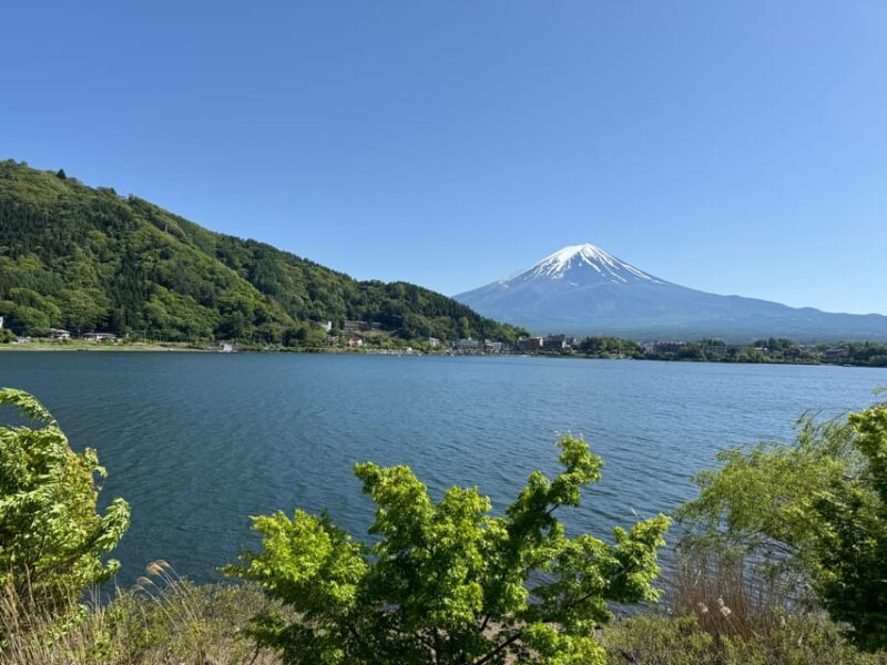 Tokyo: Mt. Fuji, Oshino Hakkai, Kawaguchiko Lake Day Trip - Trip Overview and Pricing