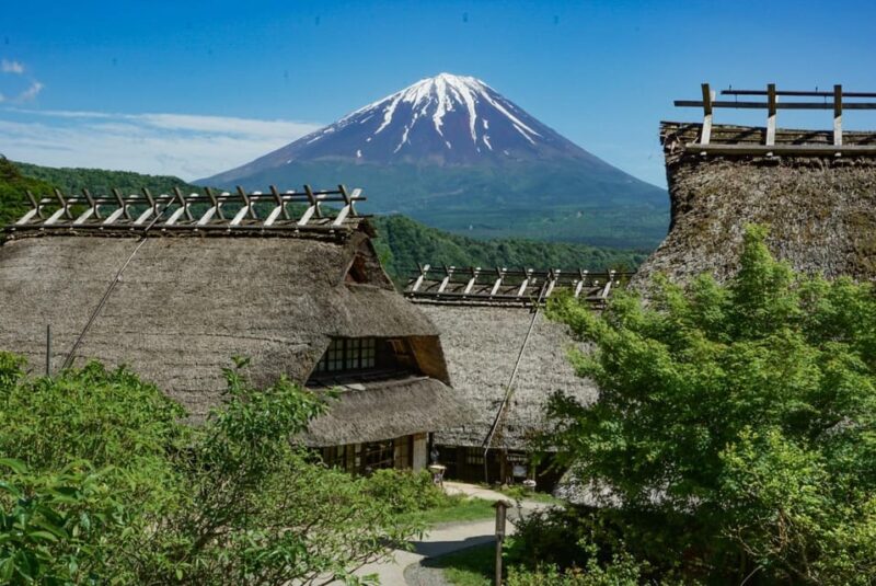 Tokyo: Private Mount Fuji Tour With Pickup and Drop-Off - Key Points