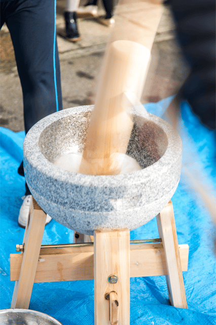 Tokyo Shinjuku: Mochi Pounding Experience With Tasting - Highlights of the Activity