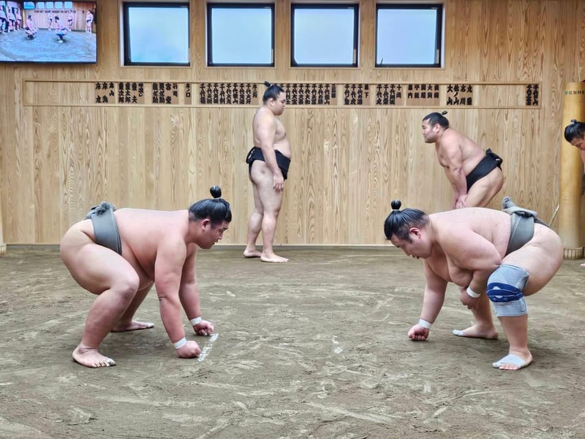 Tokyo Sumo Morning Practice Tour With Private Car Transfer - Key Points