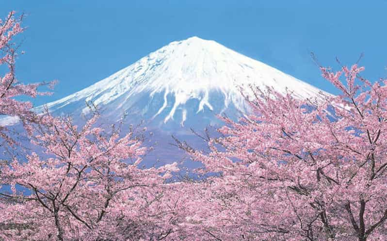 Tokyo to Mt. Fuji Area/Kawaguchiko Transfer Service - Overview of Transfer Service