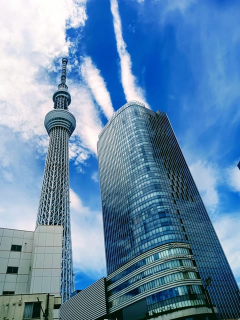 Tokyo Tour One Day Private Tour by Car With English Driver - Tour Overview