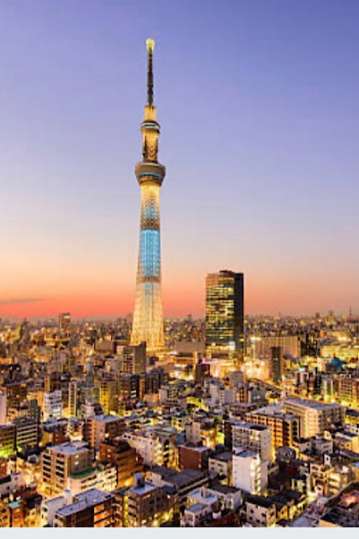 Tokyo Unforgettable Private Tour for Family(Up-To 6 Persons) - Key Points