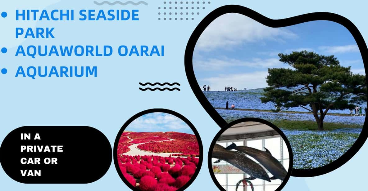 Tokyo:Hitachi Seaside Park and Aquaworld Oarai Aquarium Tour - Key Points