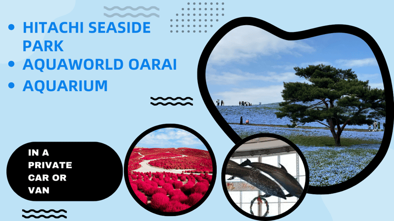 Tokyo:Hitachi Seaside Park and Aquaworld Oarai Aquarium Tour - Explore Hitachi Seaside Park