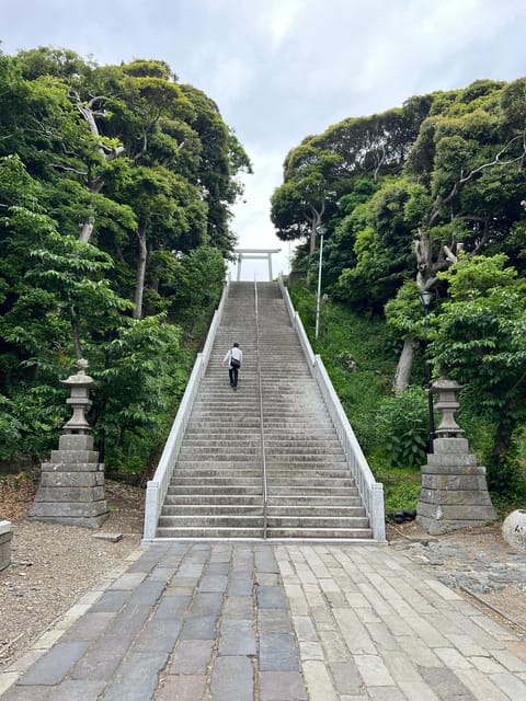 Tokyo:Hitachi Seaside Park/Oarai Isosaki Shrine Private Tour - Key Points