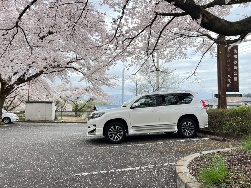 Tokyo:Private Mt Fuji Sightseeing Tour in Luxury Landcruiser - Key Points