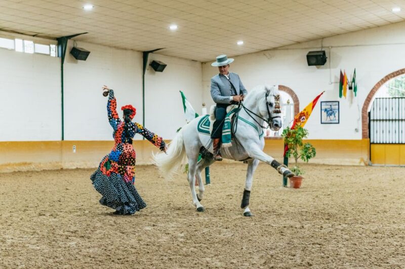 Torremolinos: Horse Show, Dinner Option, Drinks, & Flamenco - Key Points