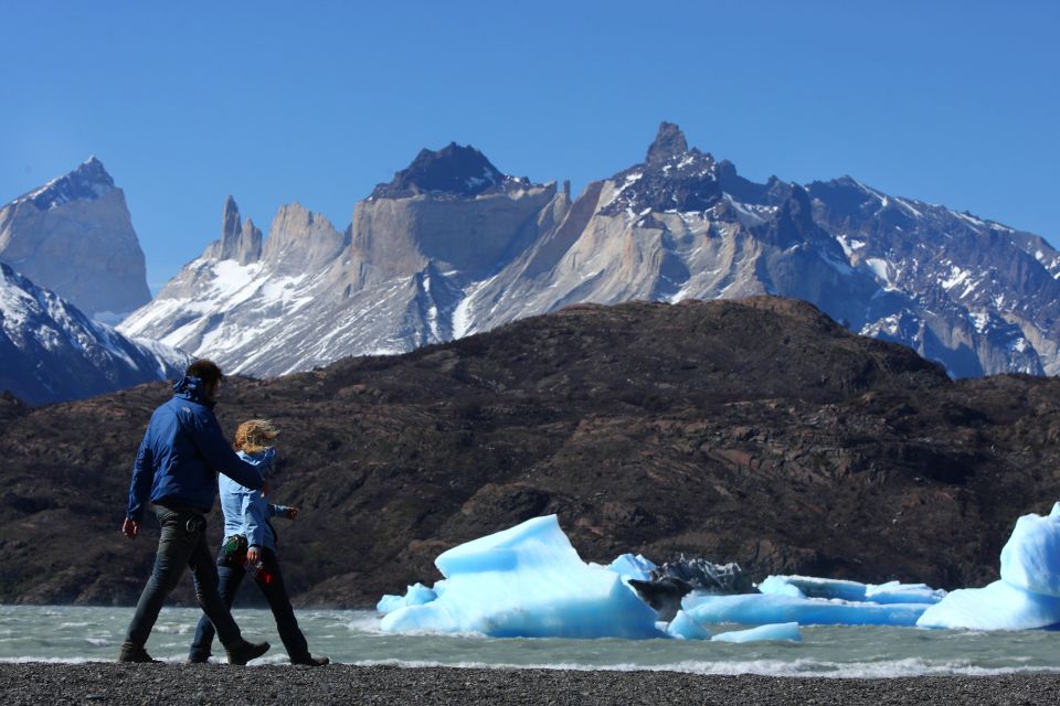 Torres Del Paine Park Full-Day Tour From Puerto Natales - Key Points