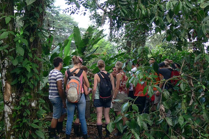 Tortuguero Classics - 2 Tours: Canoe and Day Hike - Tour Overview