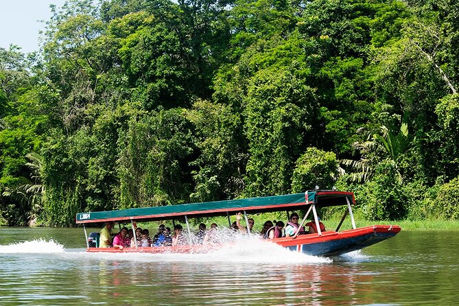 Tortuguero One Day. Private Tour From San Jose - Tour Overview