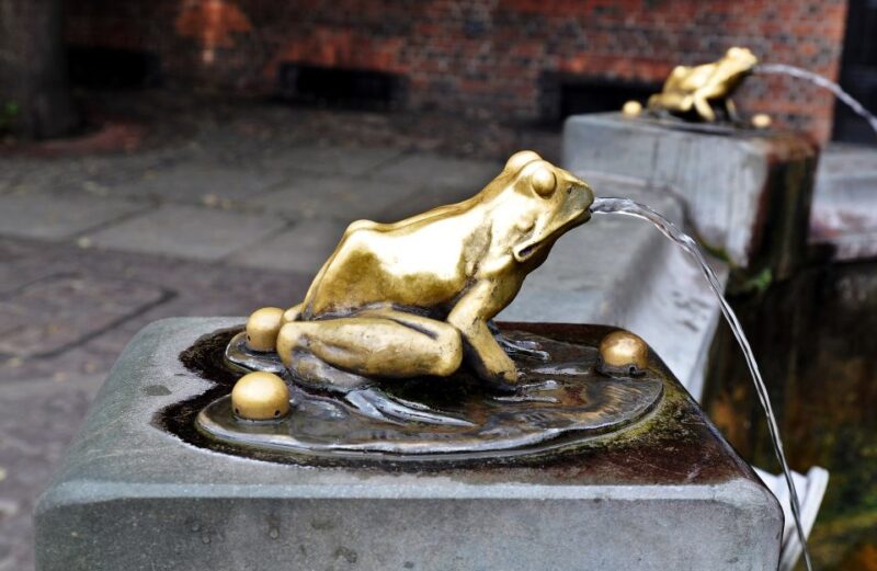 Torun Old Town Highlights Private Walking Tour - Good To Know