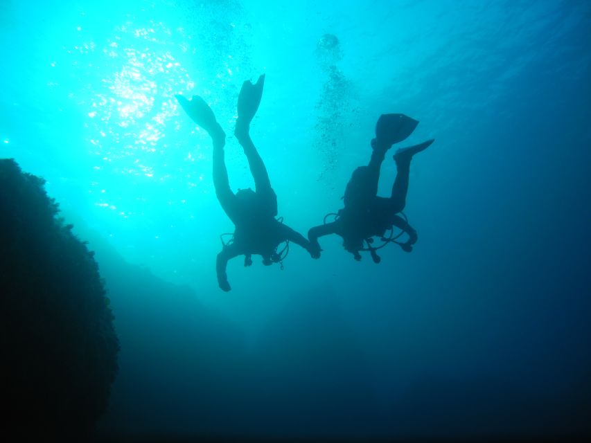 Tossa De Mar: Mar Menuda Dive Trip for Certified Divers - Good To Know