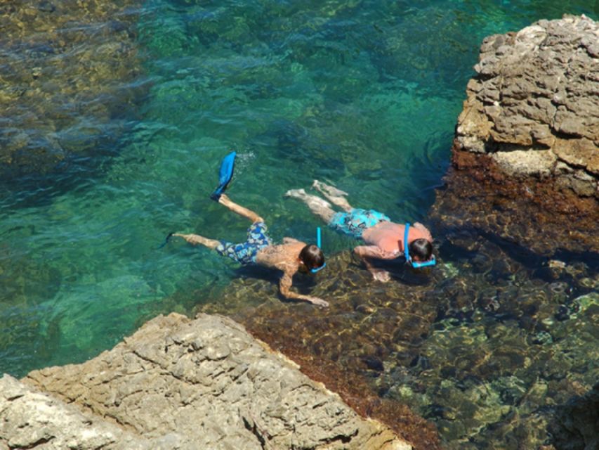 Tossa De Mar: Snorkeling Tour - Key Points