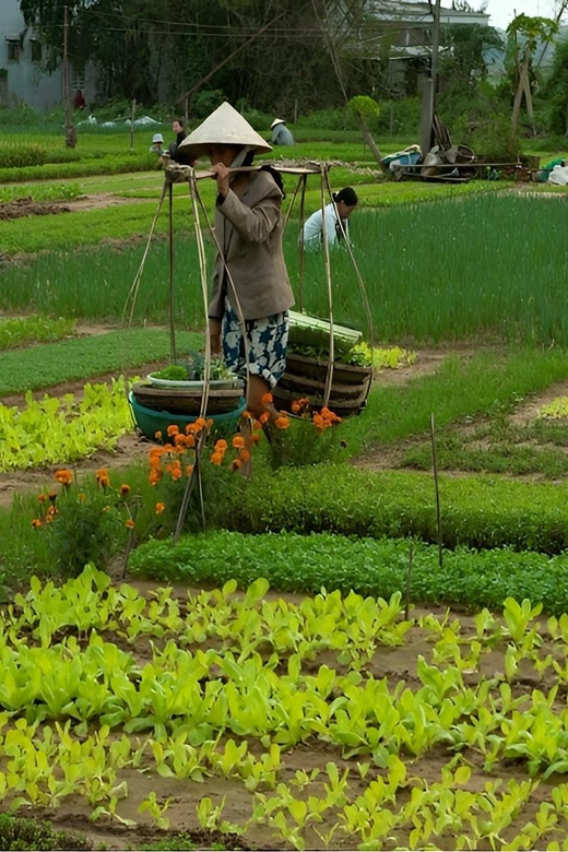 Tra Que Village Vegetable Farm Experience by Bike - Key Points