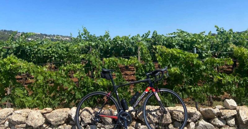 Traveling the Valle D'itria With Professional Bikes - Key Points