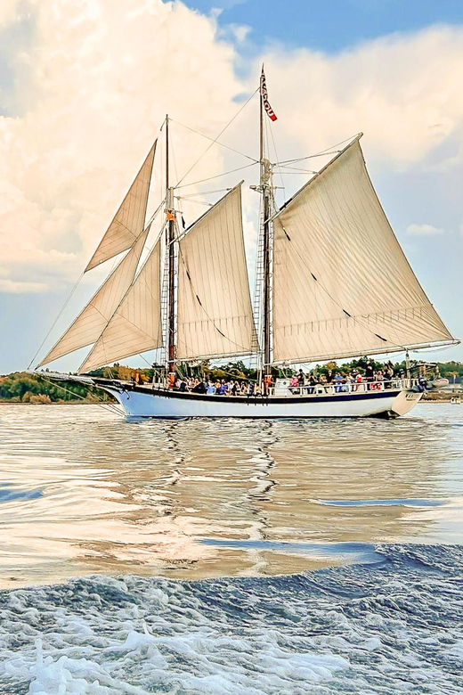 Traverse City: Afternoon Sailing Adventure on a Tall Ship - Key Points