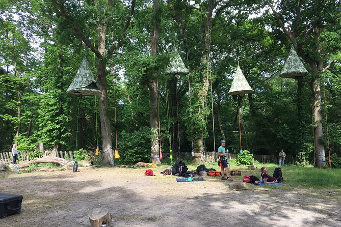 Tree Climbing Taster Session - Good To Know