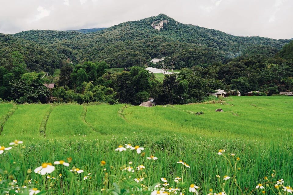 Trek at Doi Inthanon National Park & Pha Dok Siew Trail Trek - Key Points