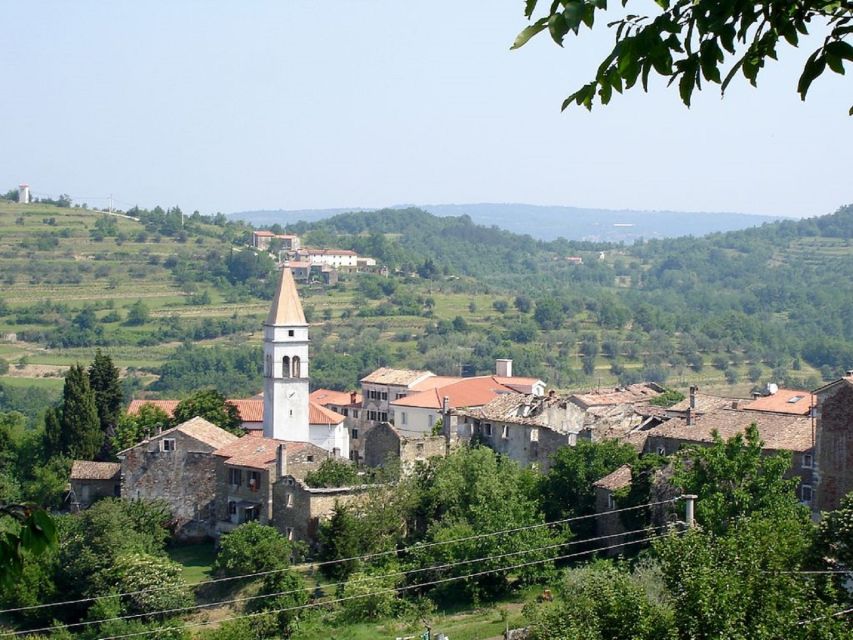 Trieste: Flavors of Istria Tour to Hum, Grožnjan, & Motovun - Good To Know