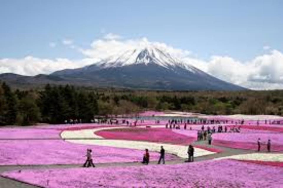 Trip to Fuji Mt With an English Speaking Driver - Key Points