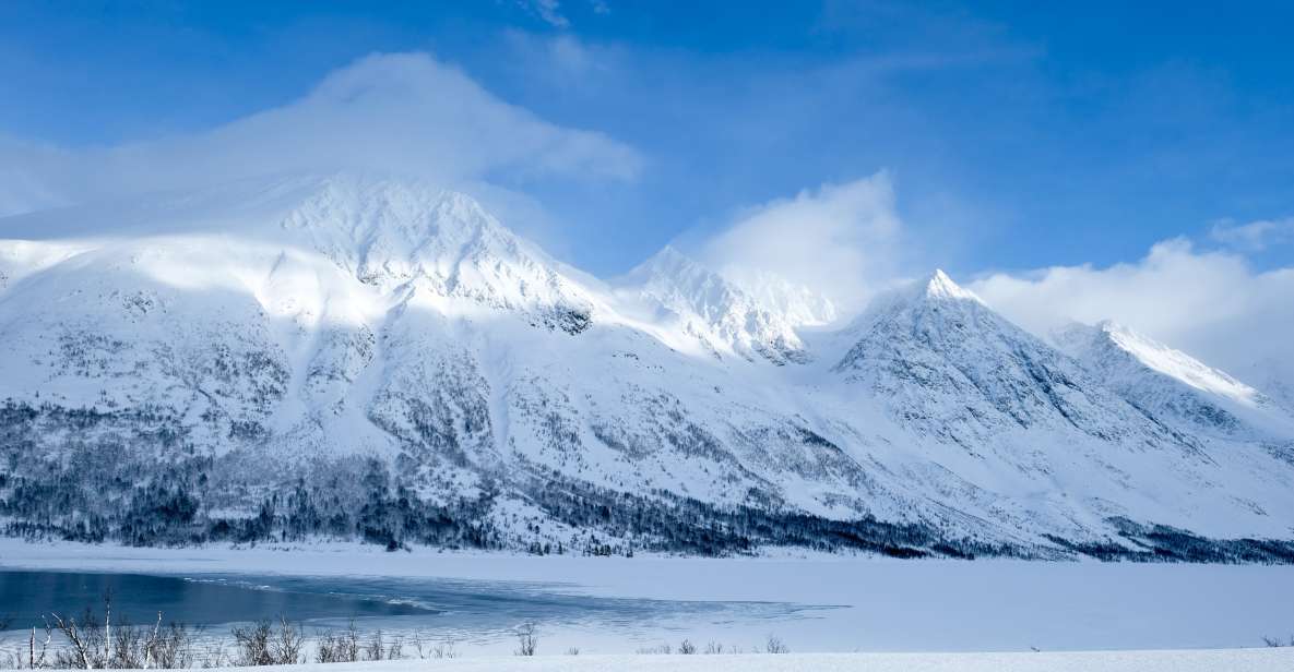 Tromsø: Arctic Landscape and Fjord Tour With Snacks - Good To Know