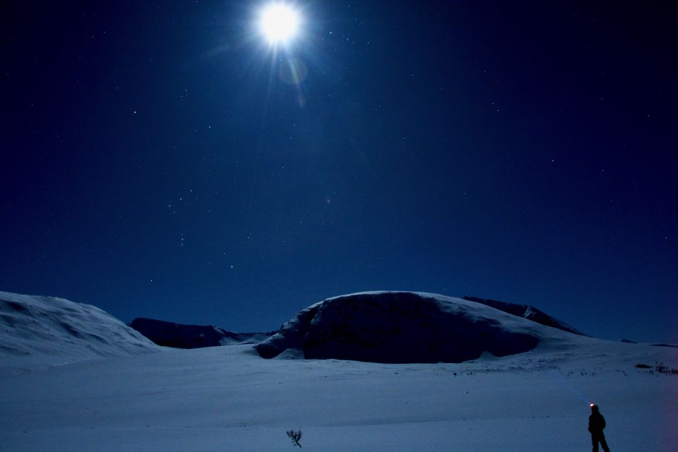 Tromsø: Beginner-Friendly Nordic Wilderness Skiing Tour - Good To Know