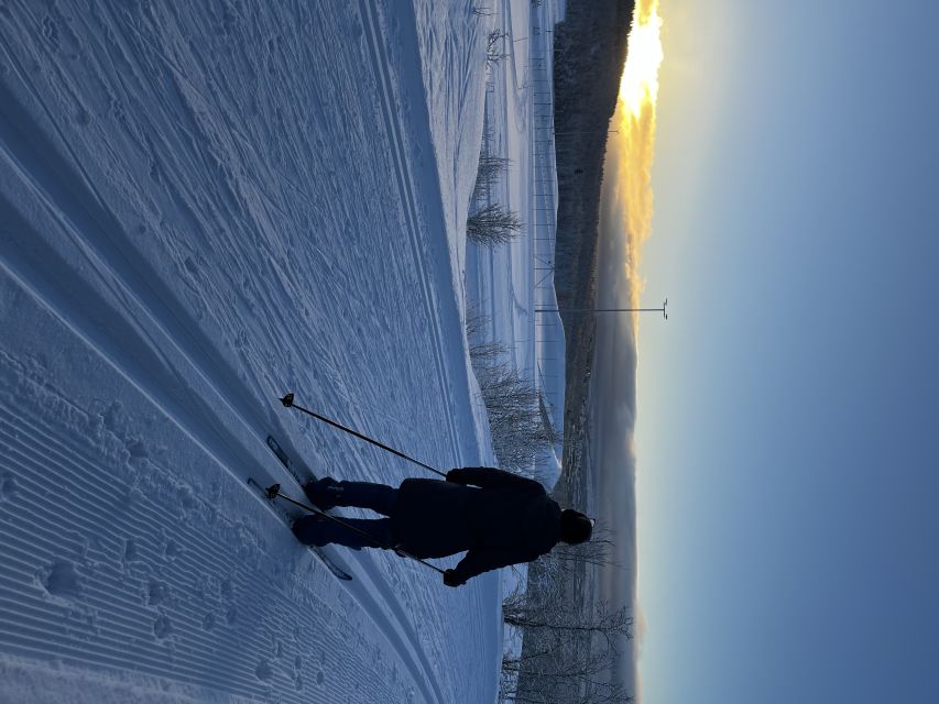 Tromsø: Cross Country Course With a Guide and Views - Overview of the Activity