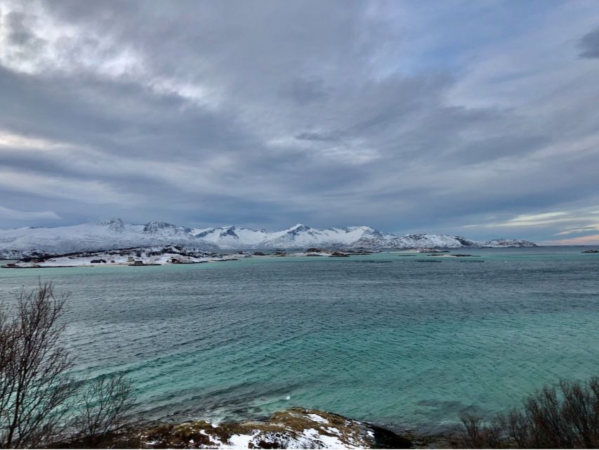 Tromsø: Fjord and Sommarøy Island Tour - Tour Overview