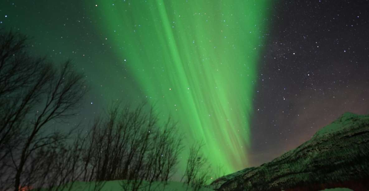 Tromsø: Guided Tours to See the Northern Lights: - Good To Know