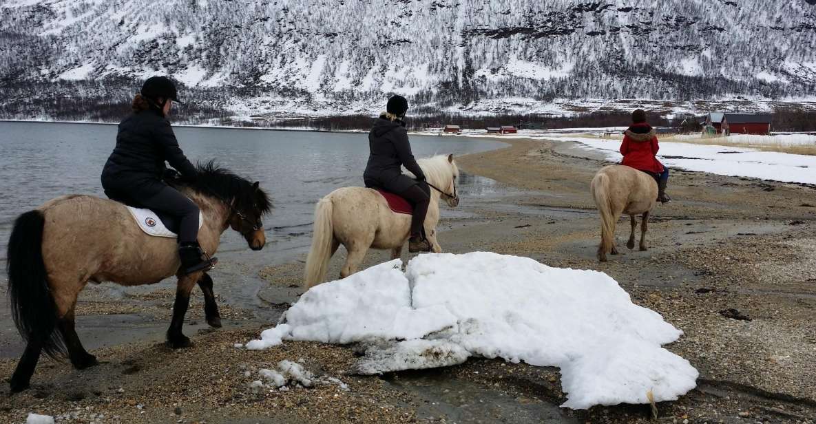 Tromsø: Lyngen Horseback Riding Experience - Good To Know