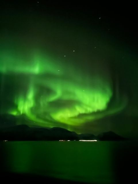 Tromsø: Lyngen Horseback Winter Evening Riding Experience - Good To Know