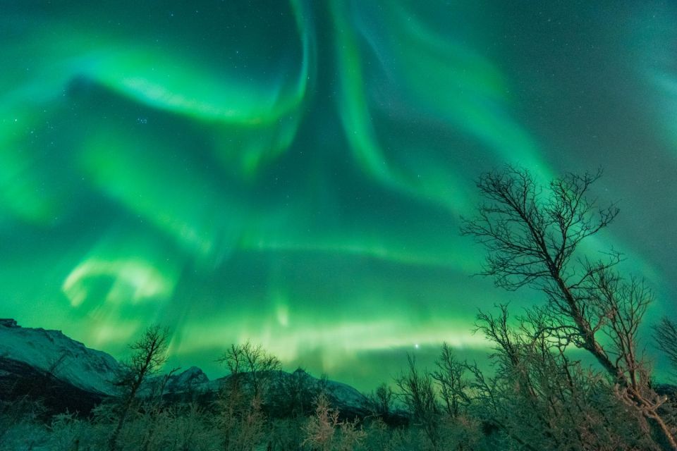 Tromsø: Northern Lights Hunt With Photos and Hot Food - Good To Know