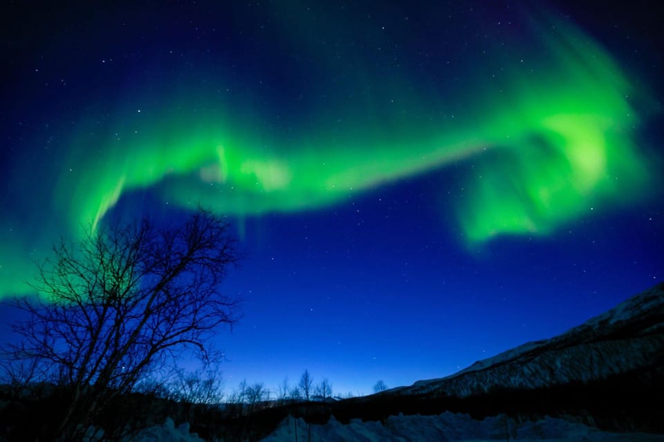 Tromsø: Northern Lights Tour With Photography (Chinese) - Good To Know