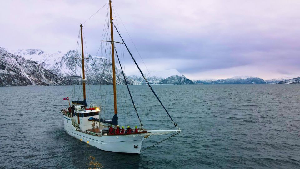 Tromsø: Polar Fjord Cruise on a Luxury Yacht With Lunch - Good To Know