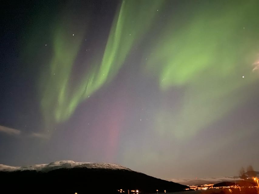 Tromsø: Private or Semi-private Northern Lights Tour - Good To Know