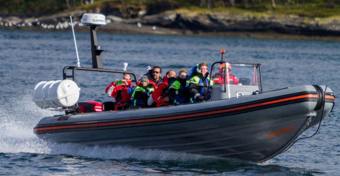 Tromso: RIB-Boat Excursion to Hella - Good To Know