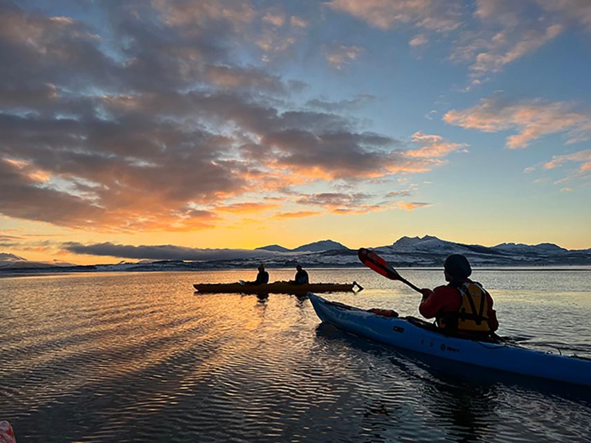 Tromsø: Winter Sea Kayaking Tour With Wildlife Sightings - Good To Know