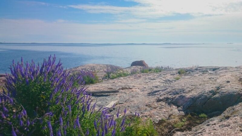 Turku Archipelago: Sea Kayaking Day Tour - Key Points