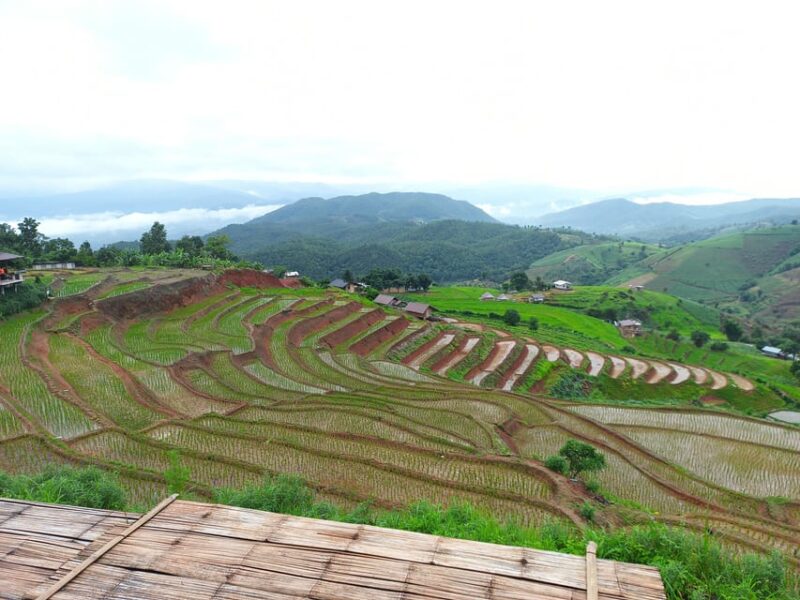Two Days Pa Pong Piang - Key Points