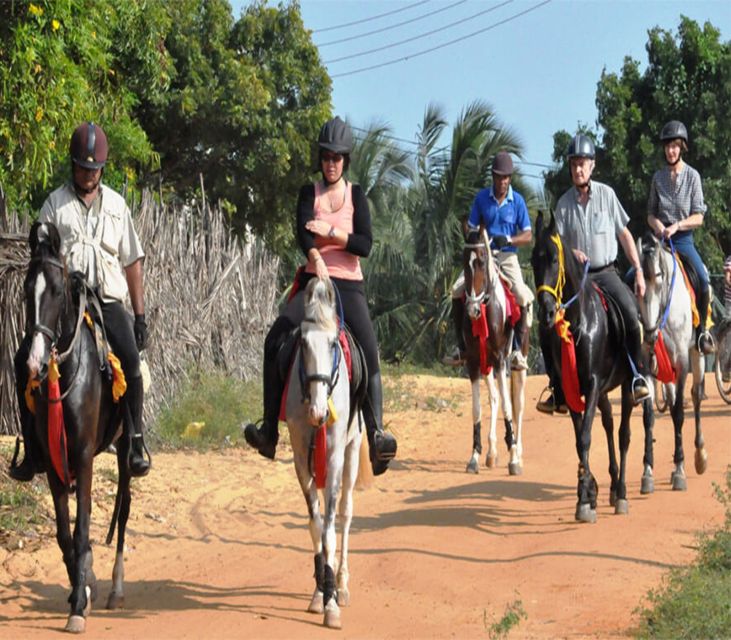 Udaipur: Evening Horse Riding Experience in the Countryside - Key Points