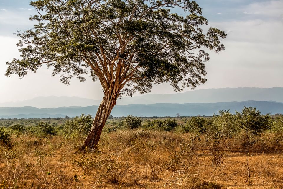 Udawalawa National Park: Private Safari - Good To Know