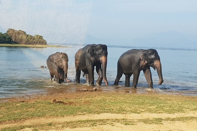 Udawalawe National Park | Private Safari Tours - Good To Know