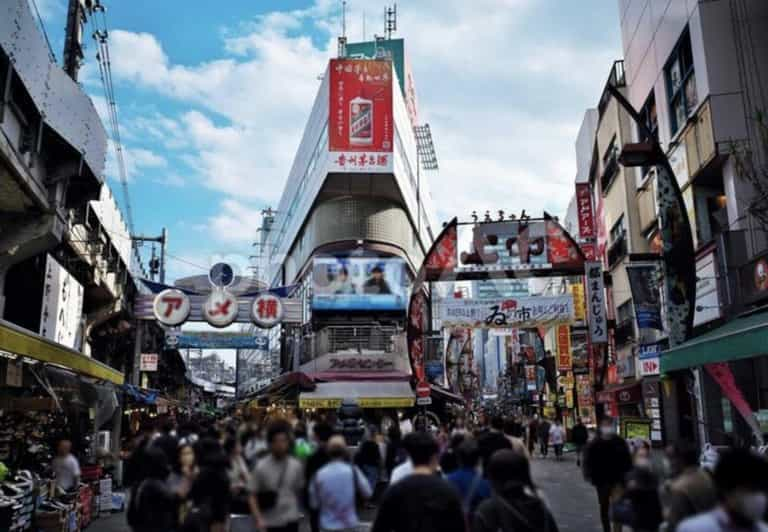 Ueno and Yanaka Day Walking Tour: Culture, Art and Old Tokyo - Tour Overview and Details