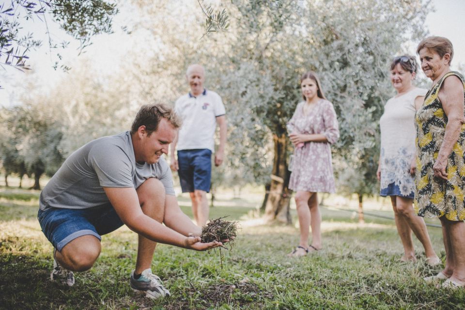 Umag: Olive Oil, Wine, and Local Food at a Family Farm - Good To Know