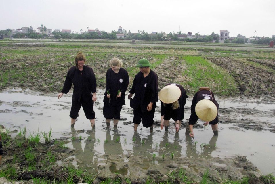 Unique 2 - Day Halong Ninh Binh Farming Tour - Key Points