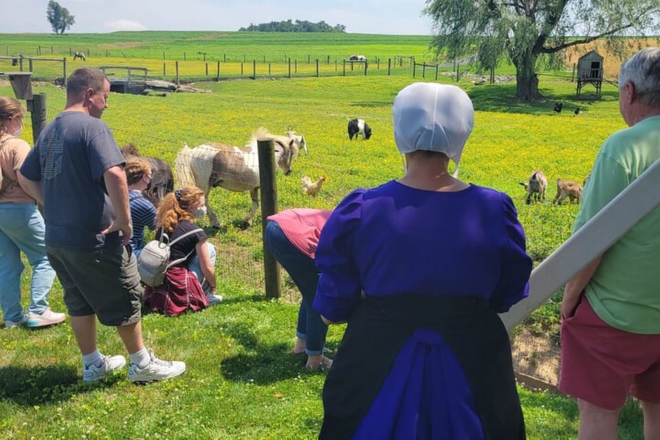 Unique Amish Immersion Experience - Key Points