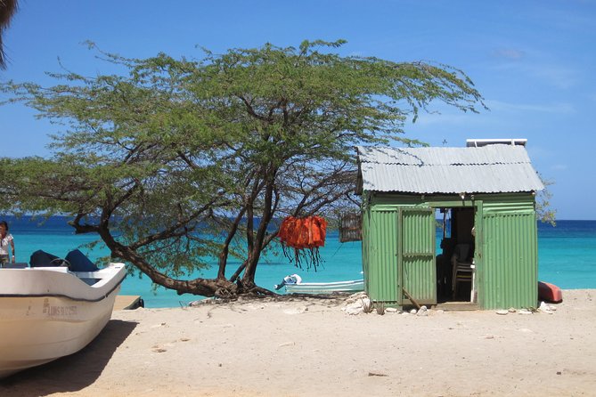 Untouched Paradise – Bay of Eagles - Overview of Bahía De Las Águilas