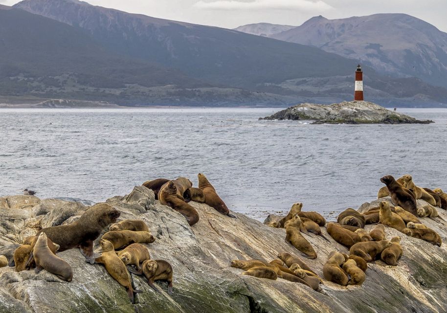 Ushuaia: Two-Day Trip to Tierra Del Fuego & Beagle Channel - Key Points